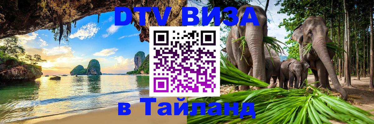 Сколько стоит DTV виза — актуальные цены, оформление даже без документов - онлайн  10.11.2025 